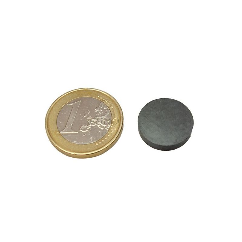 IMAN 12X2,5X5X12MM DISCO MICEL FERRITA NE 10411
