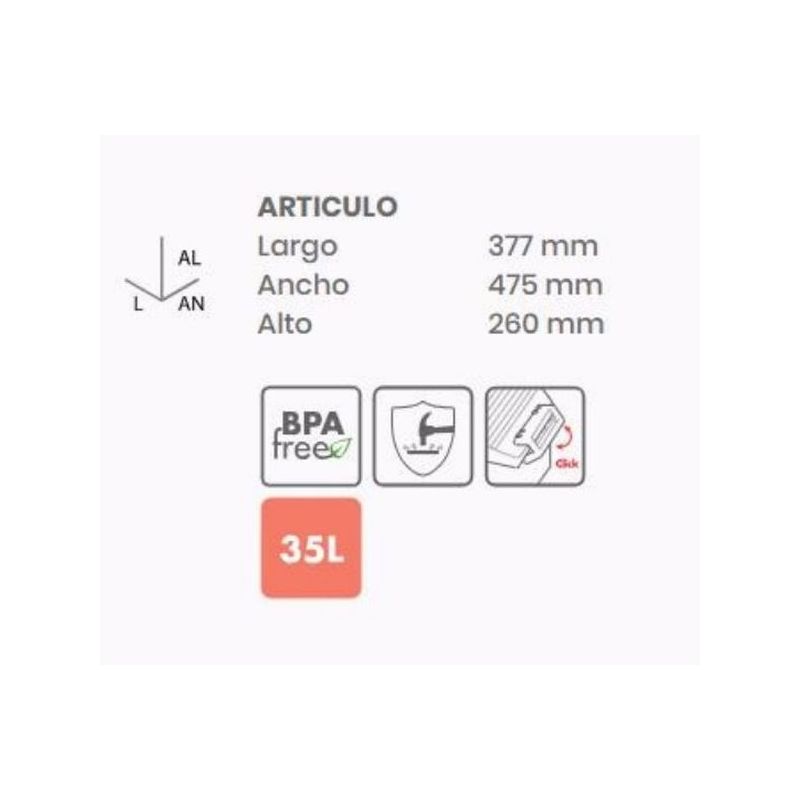 CAJA ORDENACION PLASTICO 35LT 