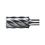Fresa con m. KEL1230 8mm 12x30mm FORMAT