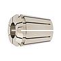 Pinza sujec DIN6499B 428EGERC20 6,0mm FAHRION